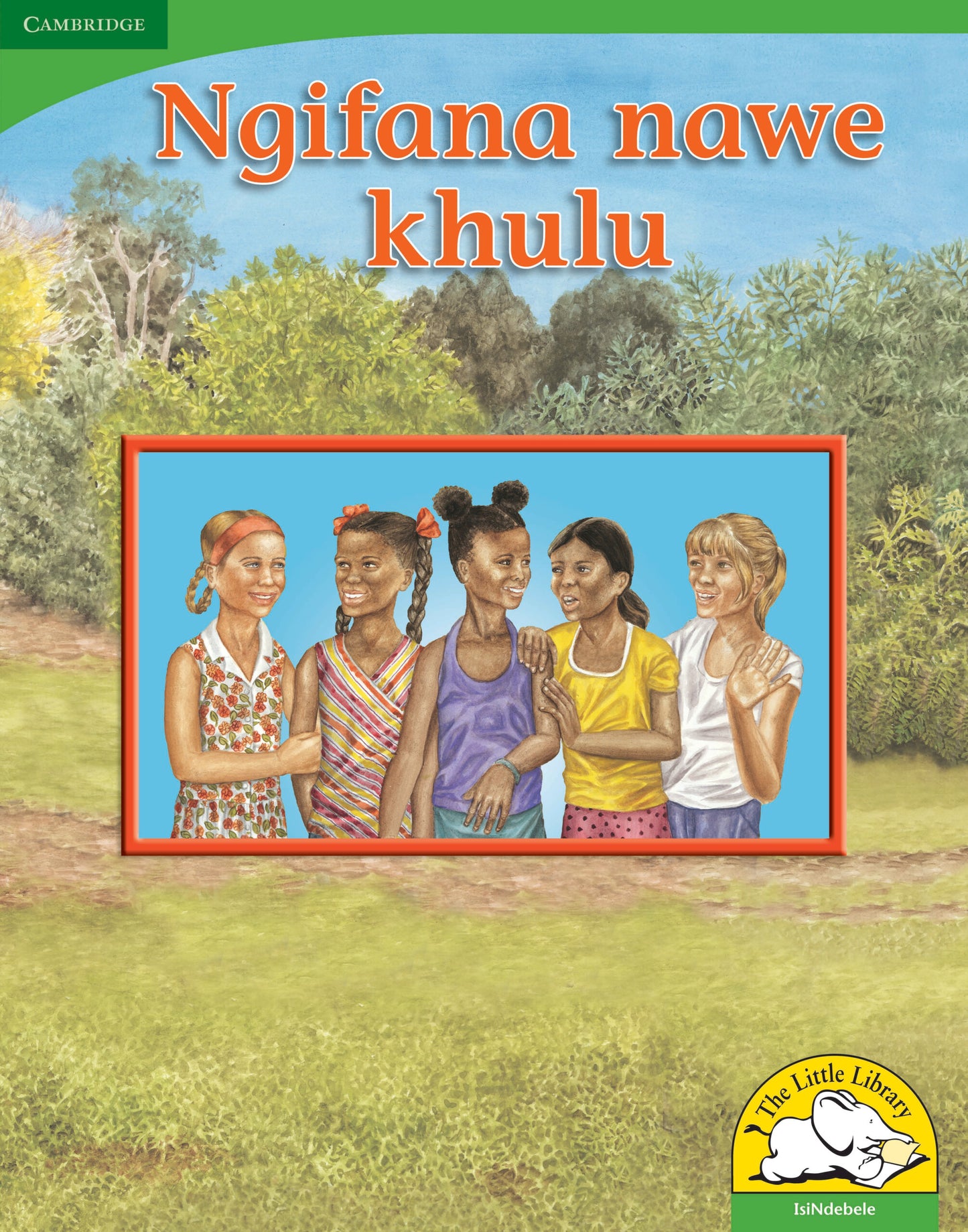 Ngifana nawe khulu (Big Book version) ISBN/SKU:9780521167888