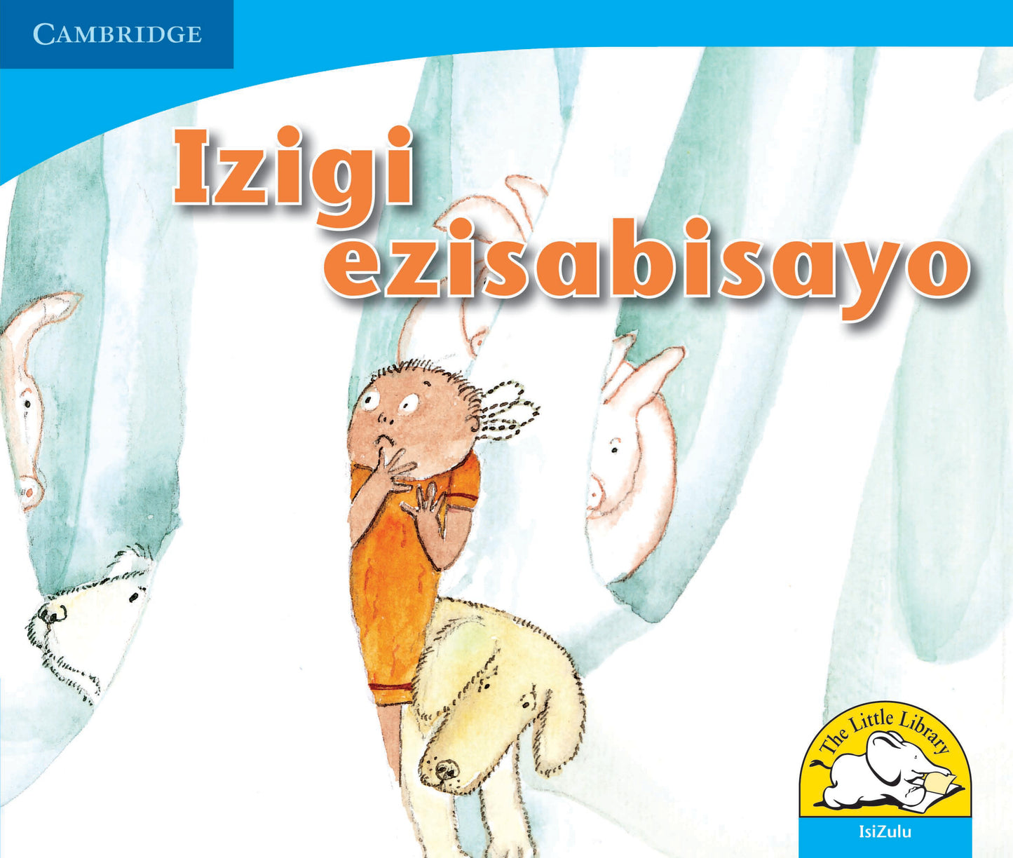 Izigi ezisabisayo ISBN/SKU:9780521722636