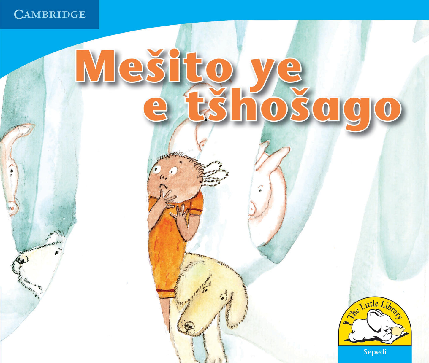 Mesito ye e tshosago ISBN/SKU:9780521722643