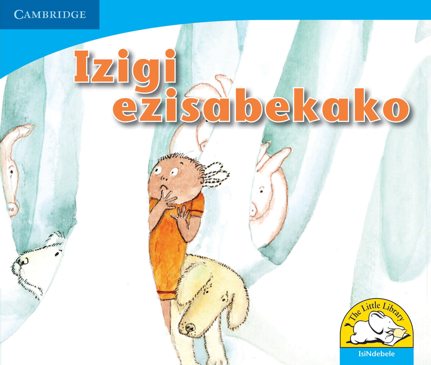 Izigi ezisabekako ISBN/SKU:9780521722681