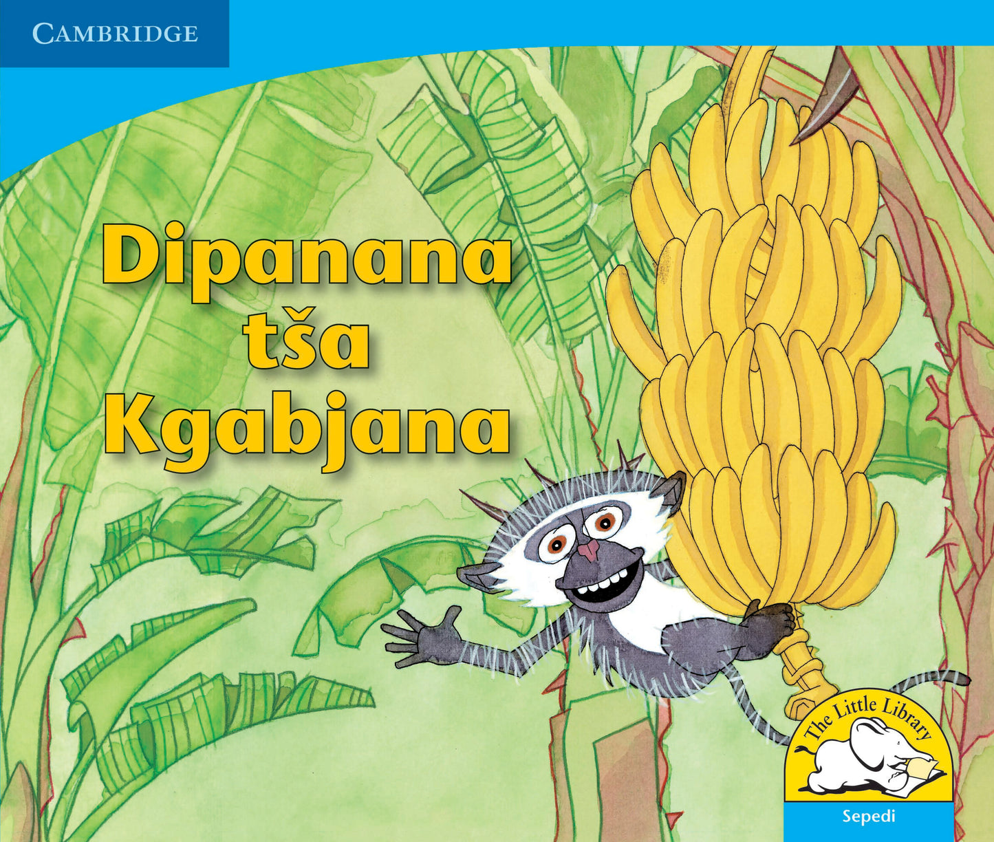 Dipanana tsa Kgabjana ISBN/SKU:9780521722872