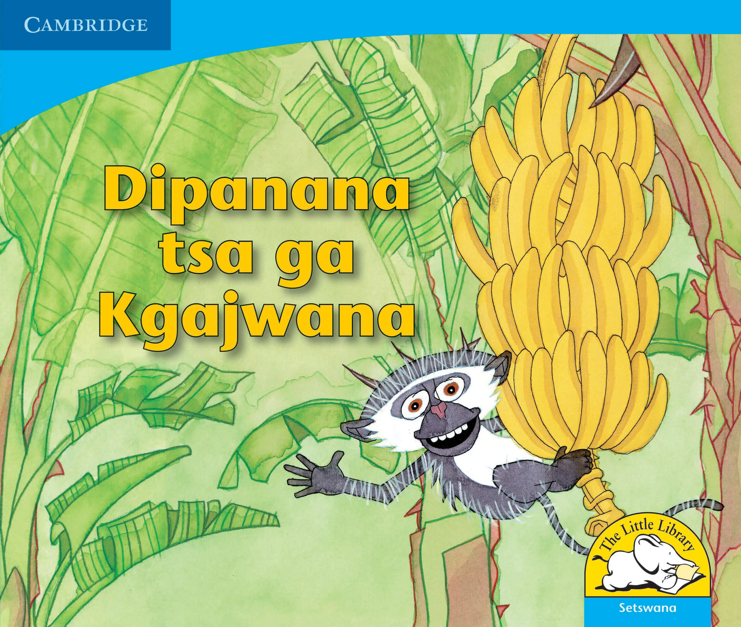 Dipanana tsa ga Kgajwana ISBN/SKU:9780521722889