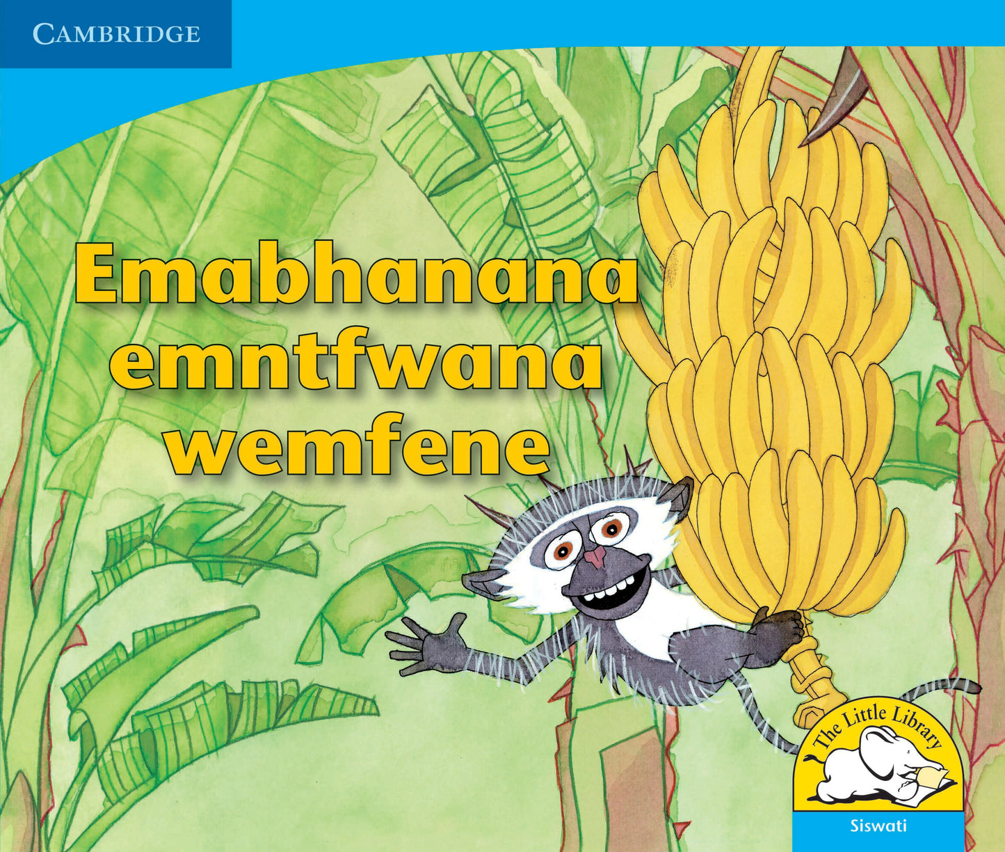 Emabhanana emntfwana wemfene ISBN/SKU:9780521722902