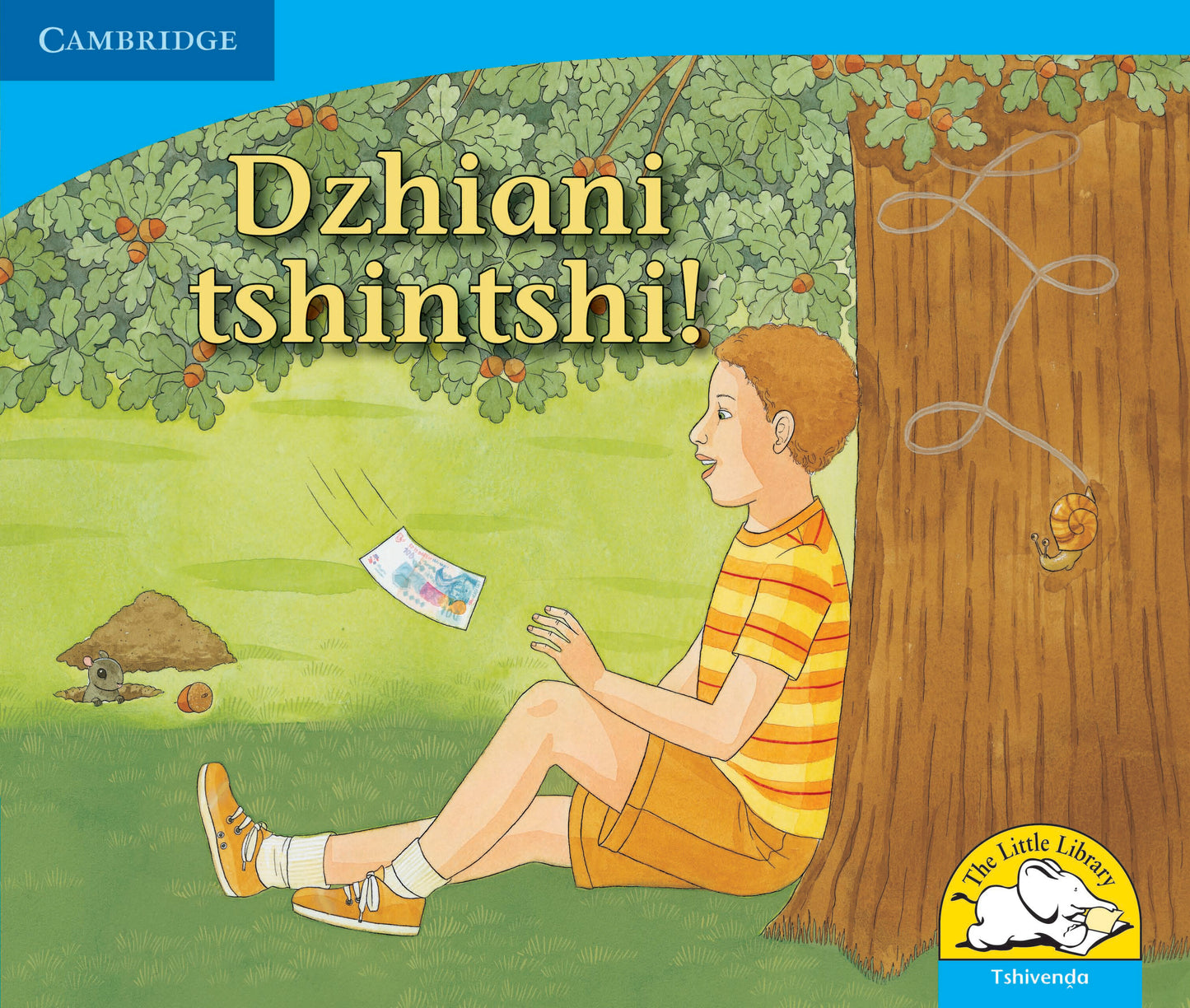 Dzhiani tshintshi! ISBN/SKU:9780521723190
