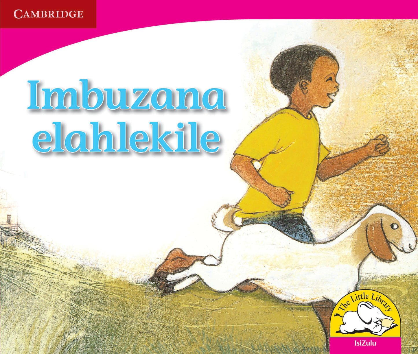 Imbuzana elahlekile ISBN/SKU:9780521724531