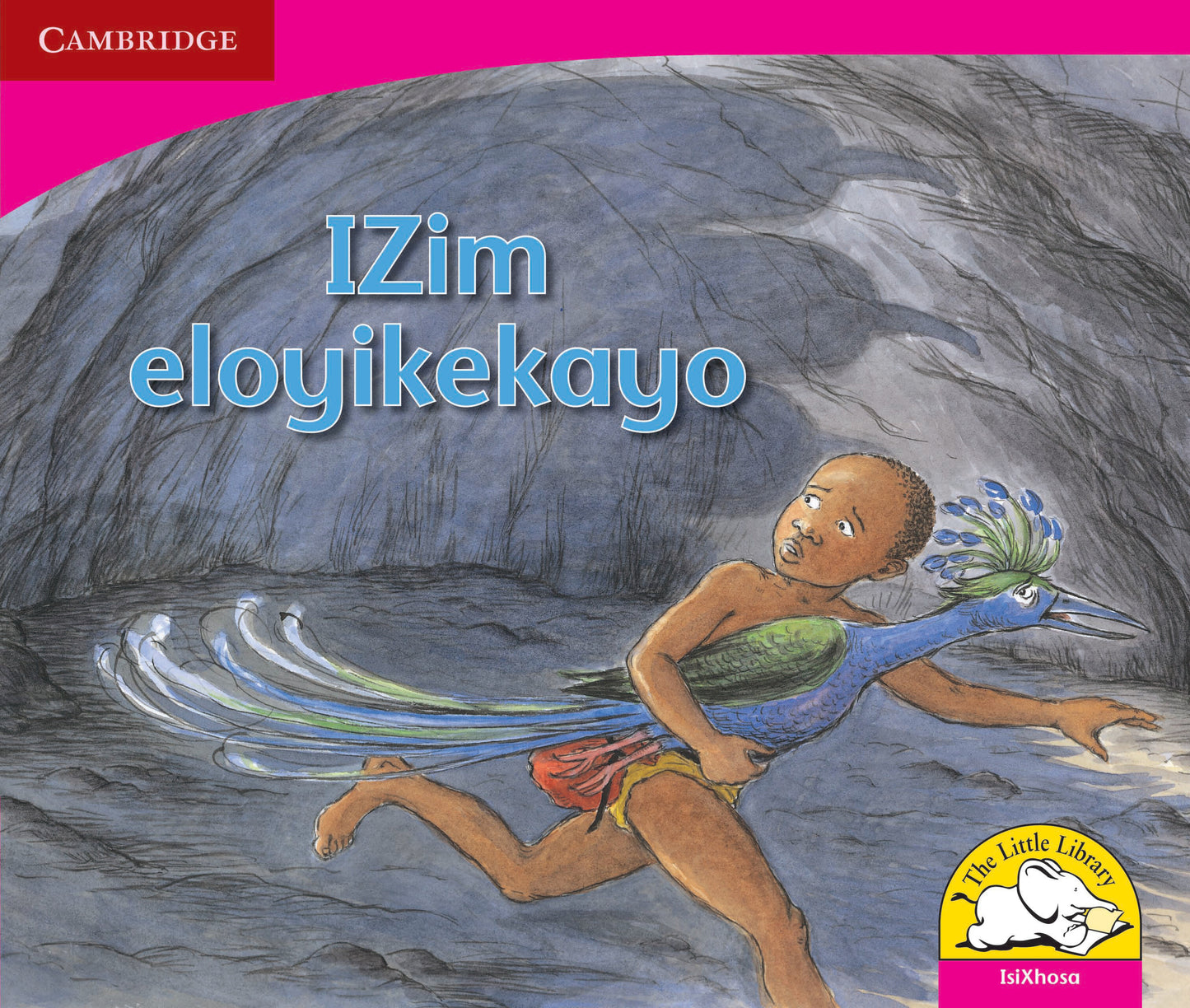 IZim eloyikekayo ISBN/SKU:9780521724760