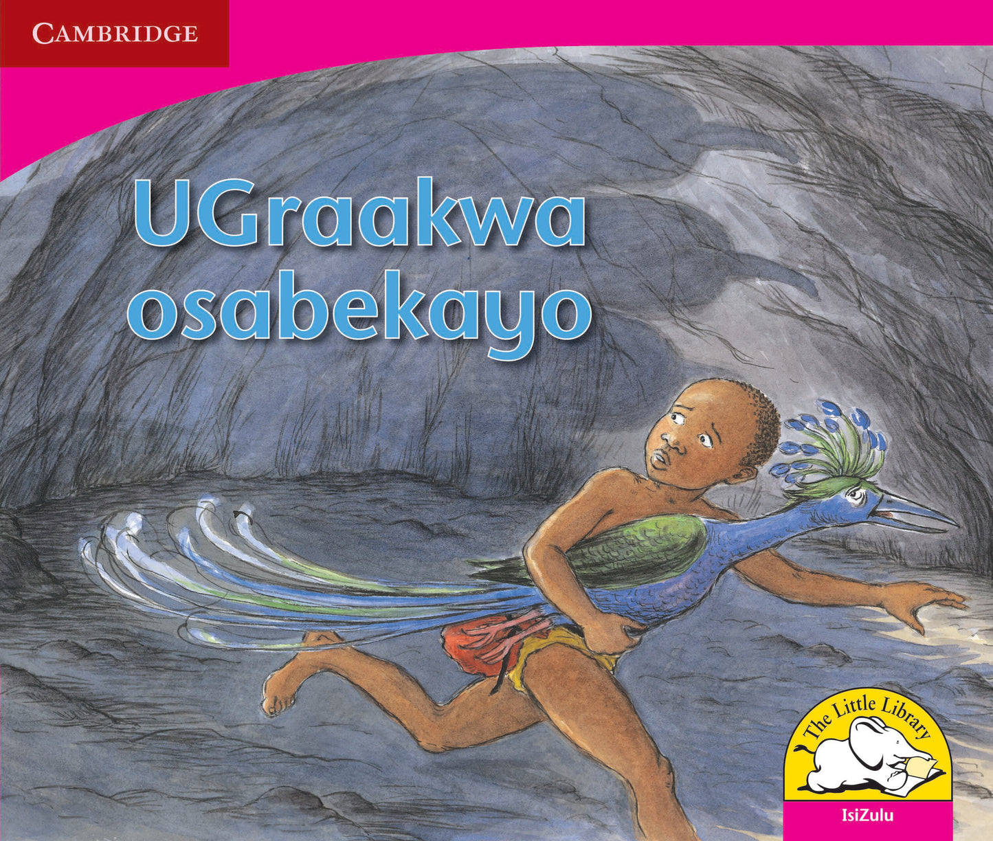 U-Graakwa osabekayo ISBN/SKU:9780521724777