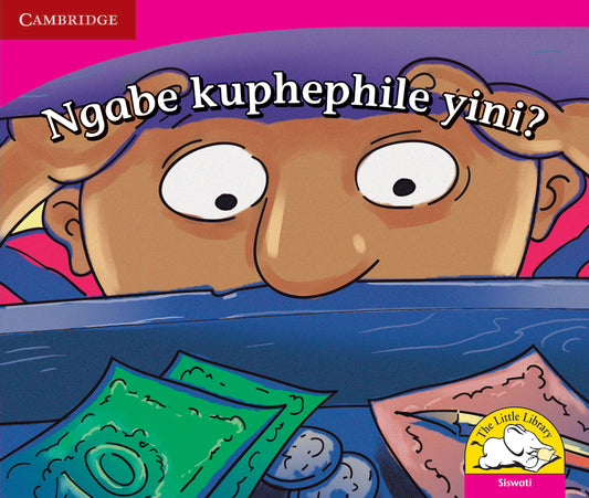 Ngabe kuphephile yini? ISBN/SKU:9780521725118