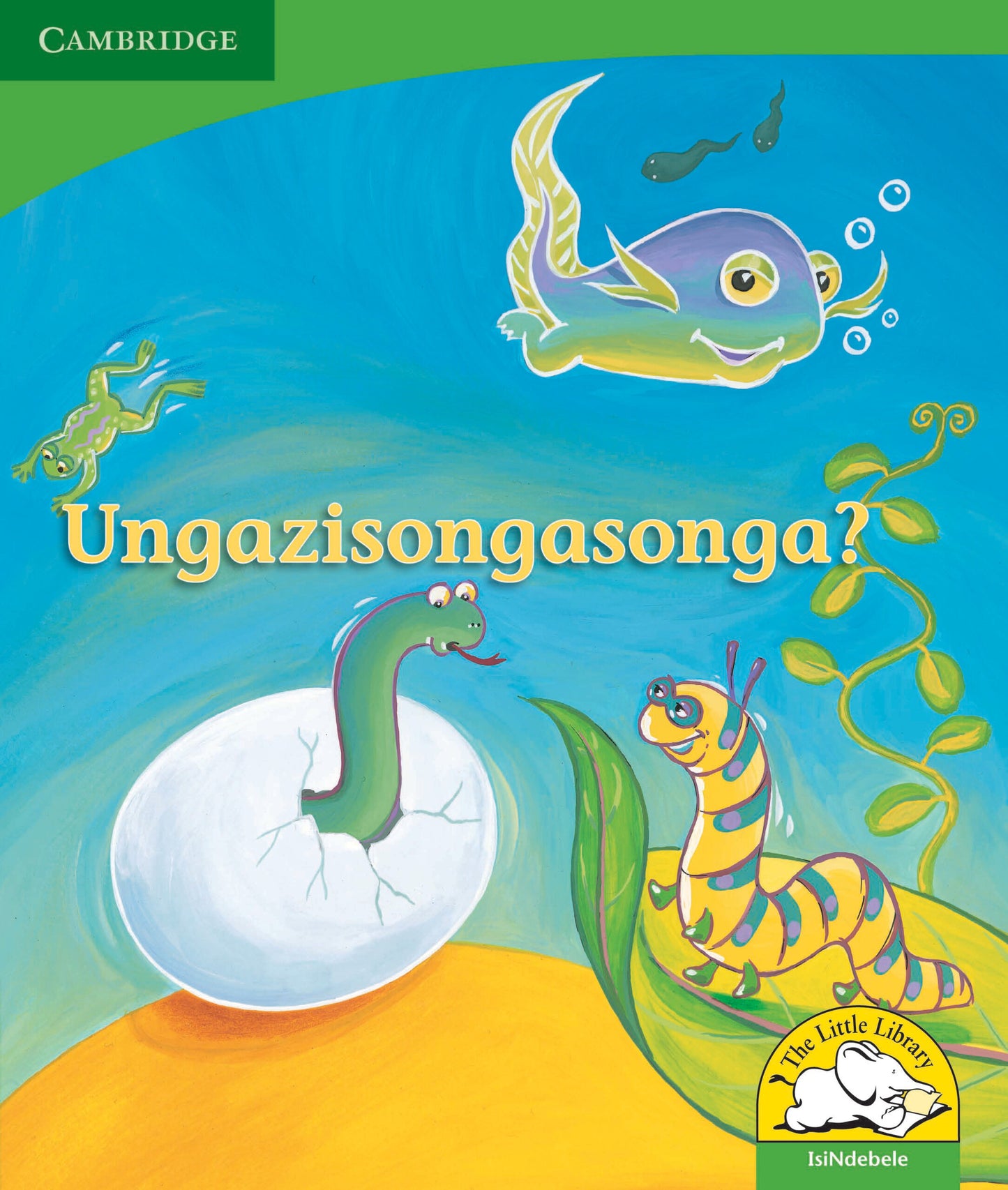Ungazisongasonga? ISBN/SKU:9780521726269