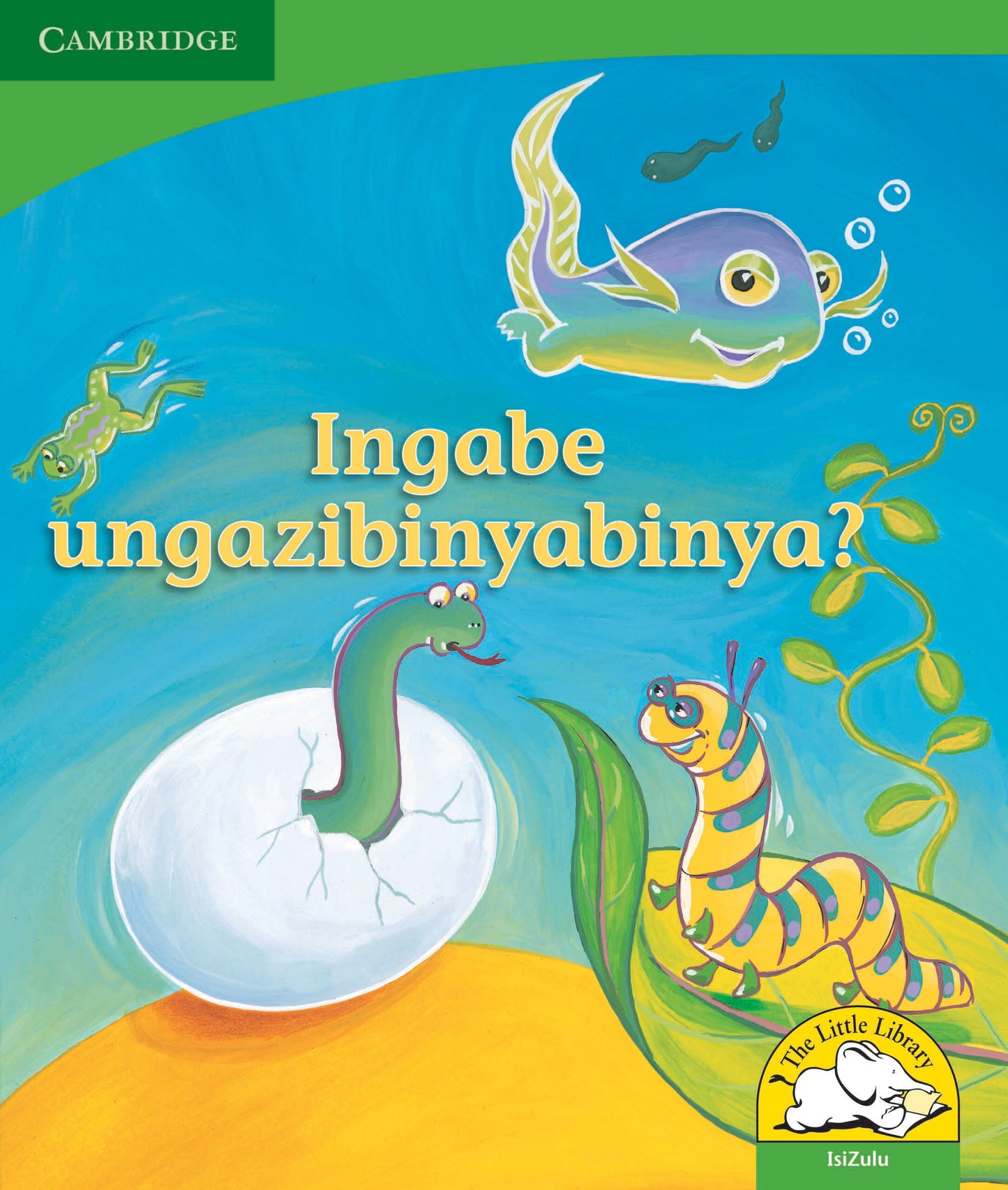 Ingabe ungazibinyabinya? ISBN/SKU:9780521726313