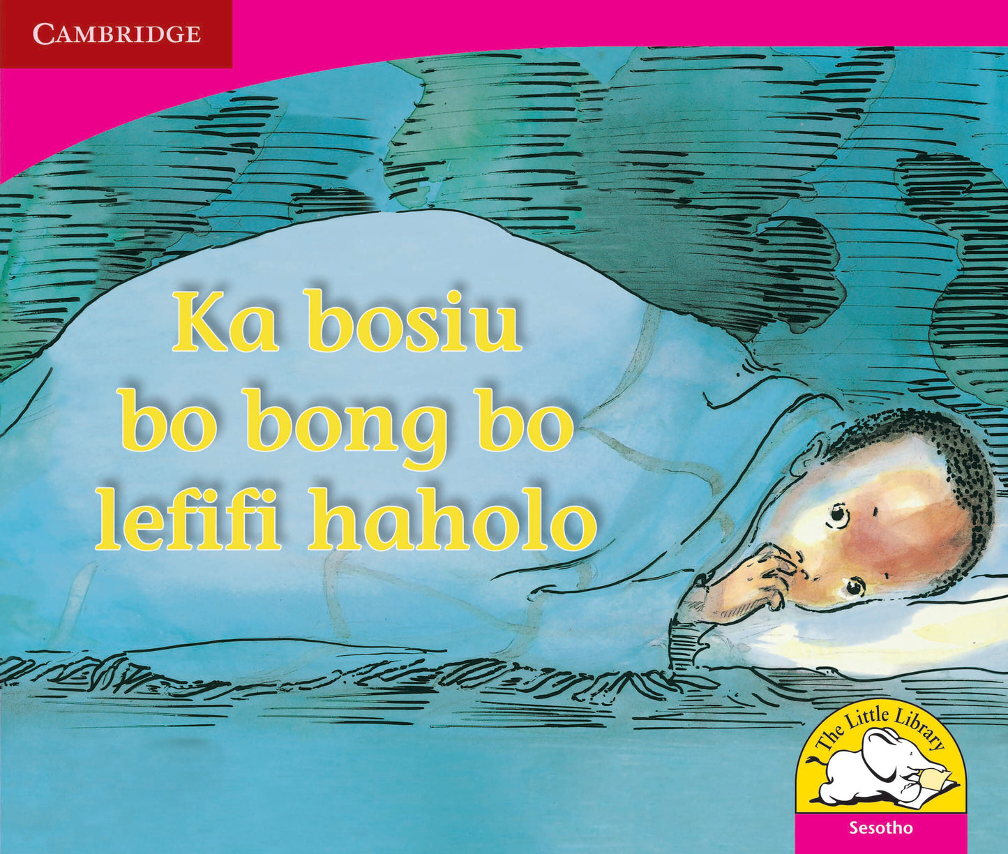 Ka bosiu bo bong bo lefifi haholo ISBN/SKU:9780521727372