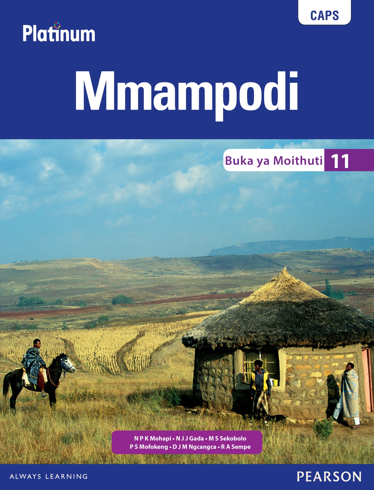 Platinum Mmampodi Gr 11 LB ISBN/SKU: 9780636091214