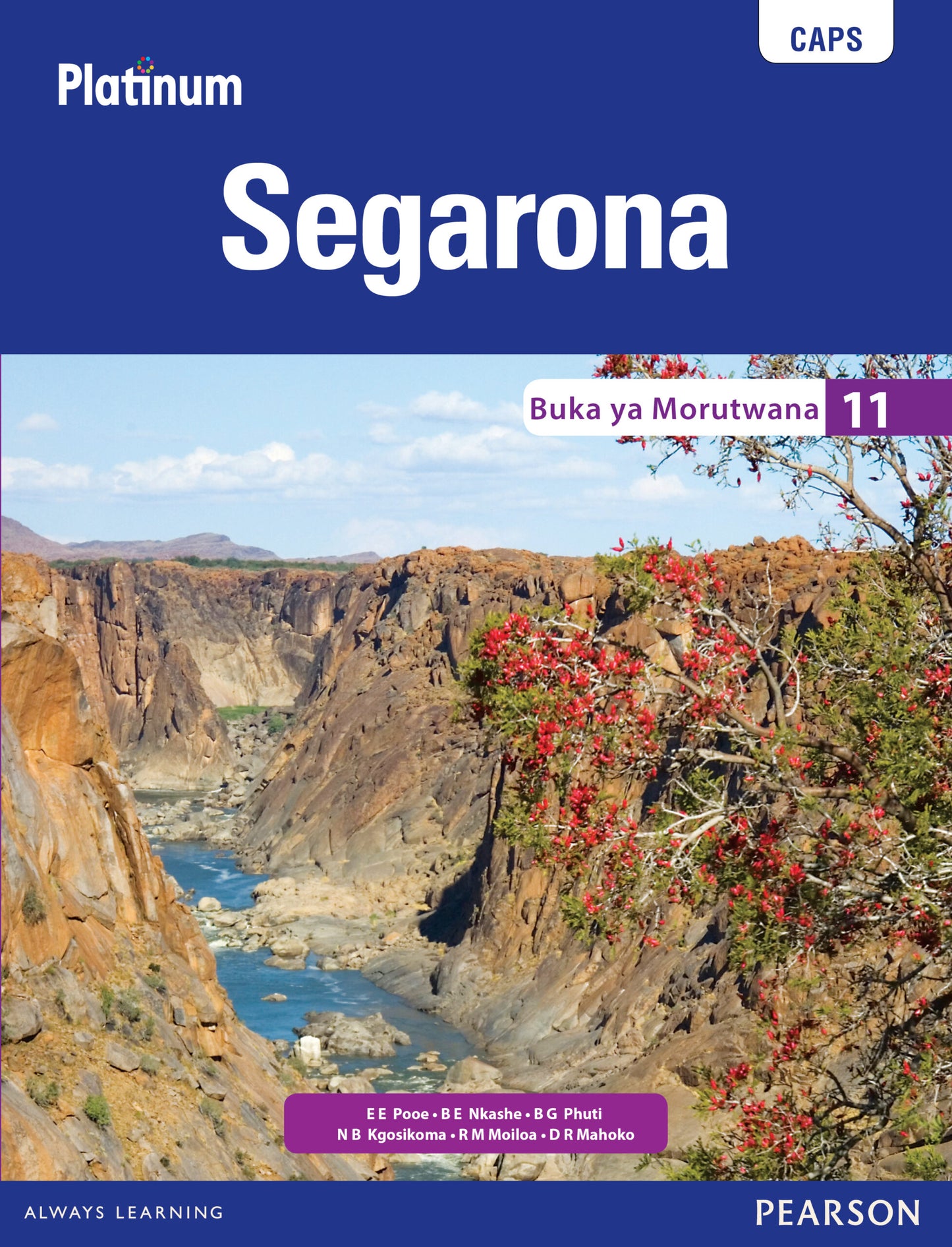 Platinum Segarona Gr 11 LB ISBN/SKU: 9780636091221