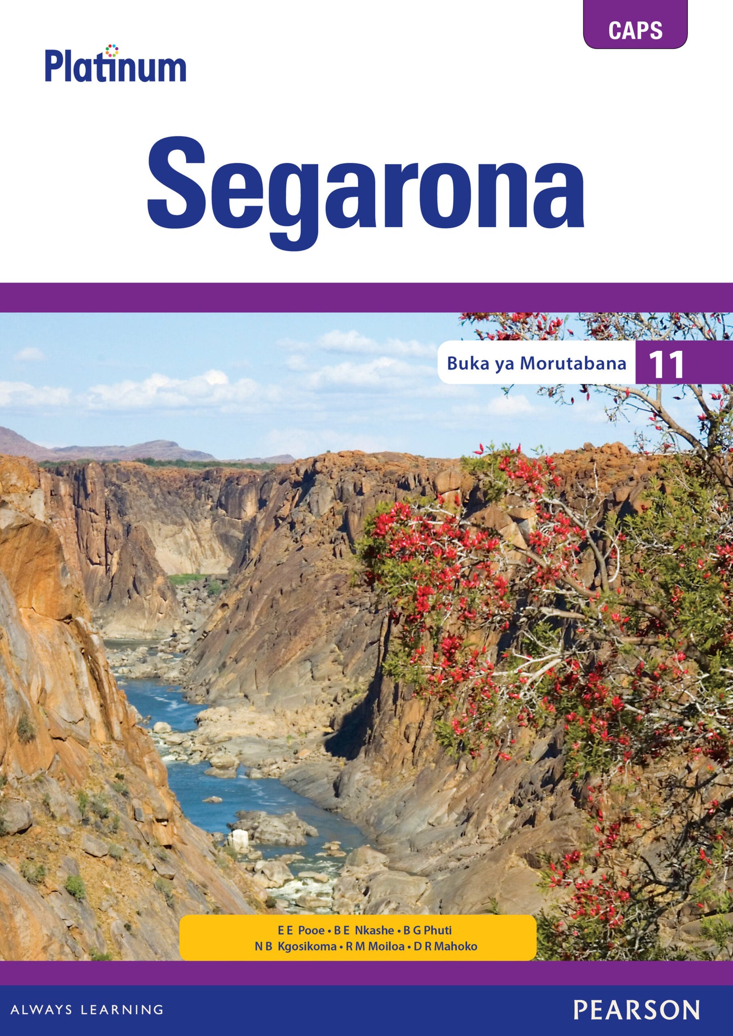 Platinum Segarona Gr 11 TG with Control Test Book ISBN/SKU: 9780636136489