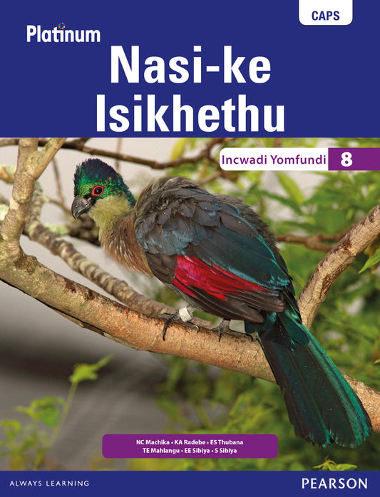 Platinum Nasi-ke Isikhethu (IsiNdebele) Grade 8 LB ISBN/SKU: 9780636140370