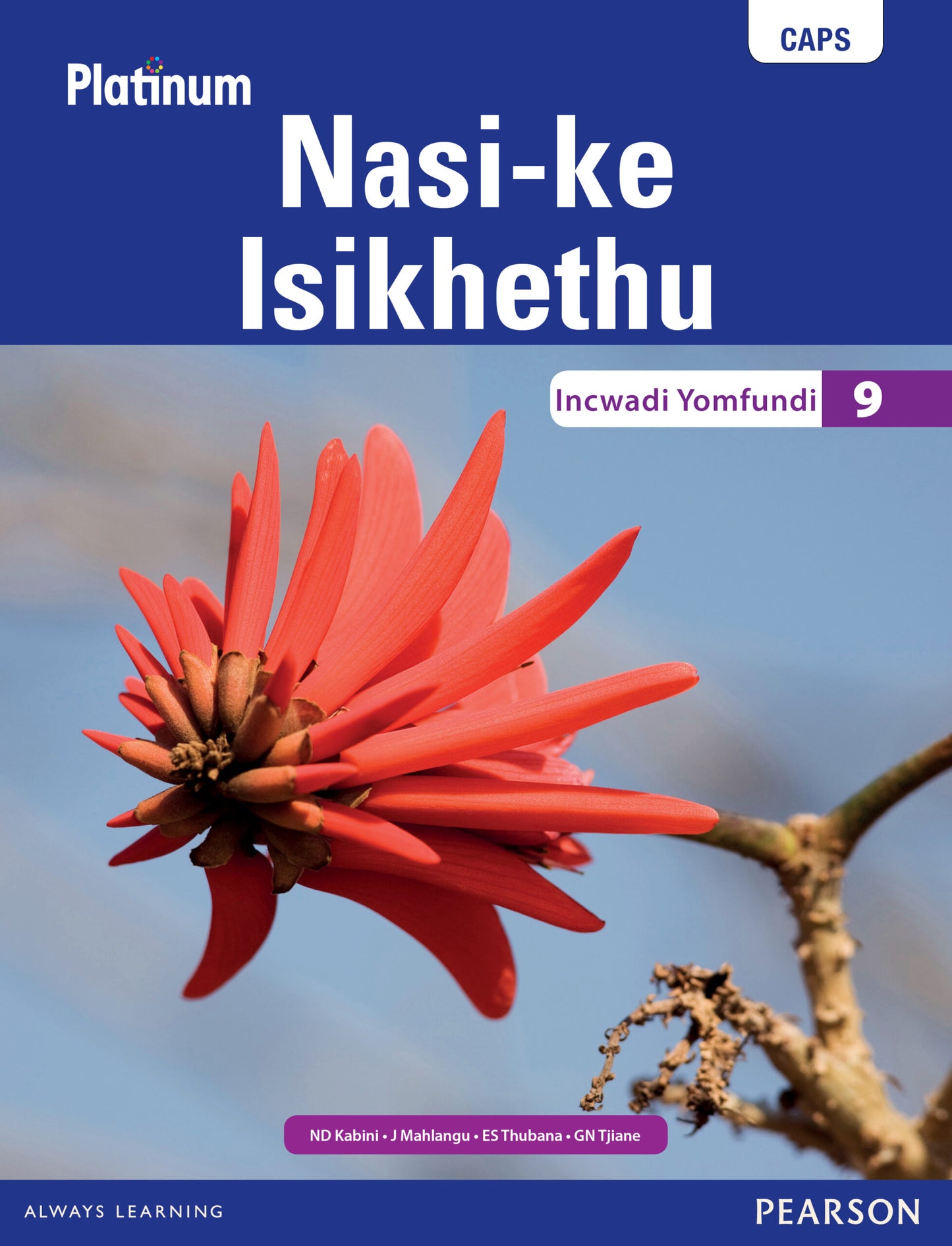 Platinum Nasi-ke Isikhethu (IsiNdebele) Grade 9 LB ISBN/SKU: 9780636140387