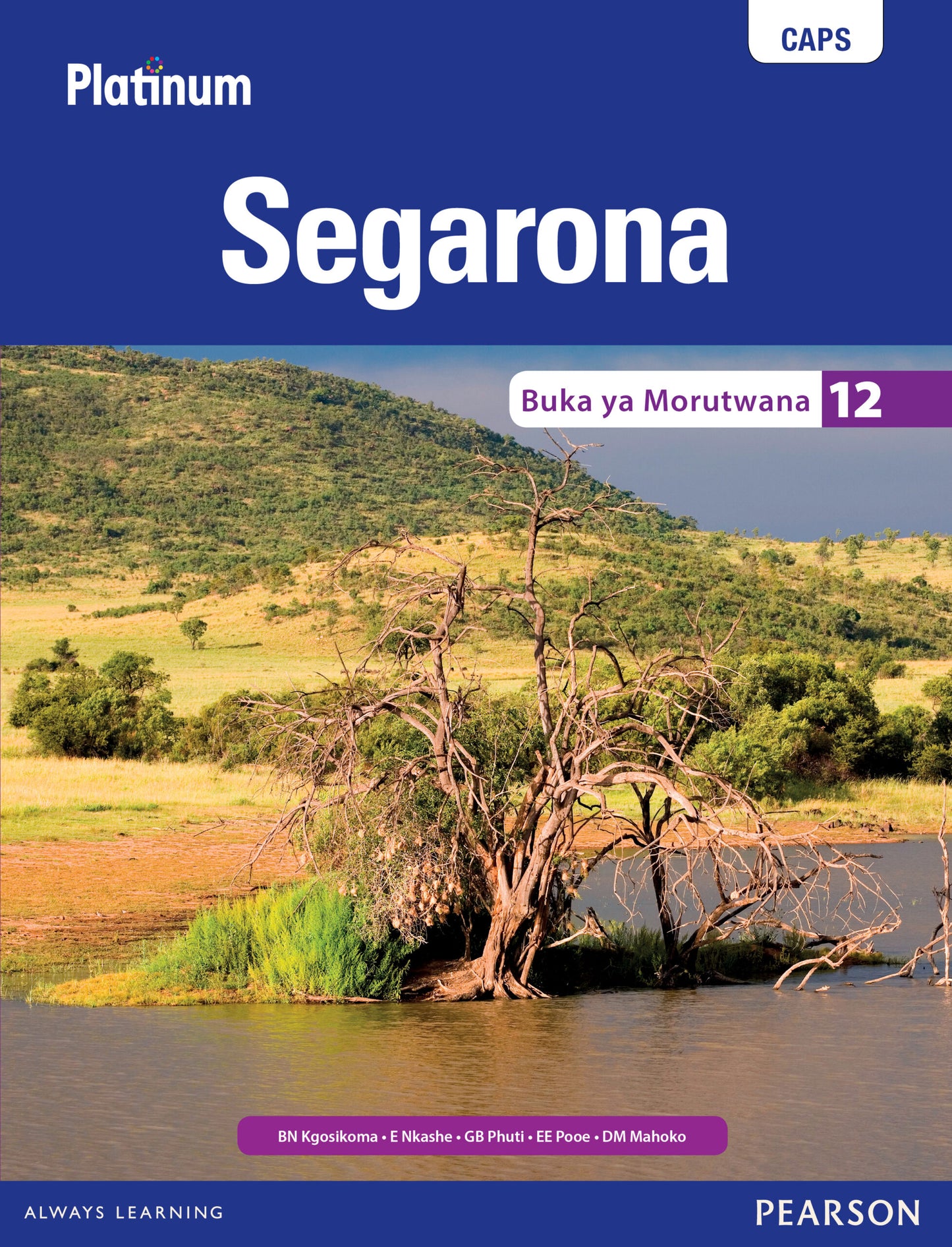 Platinum Segarona Gr 12 LB ISBN/SKU: 9780636140516