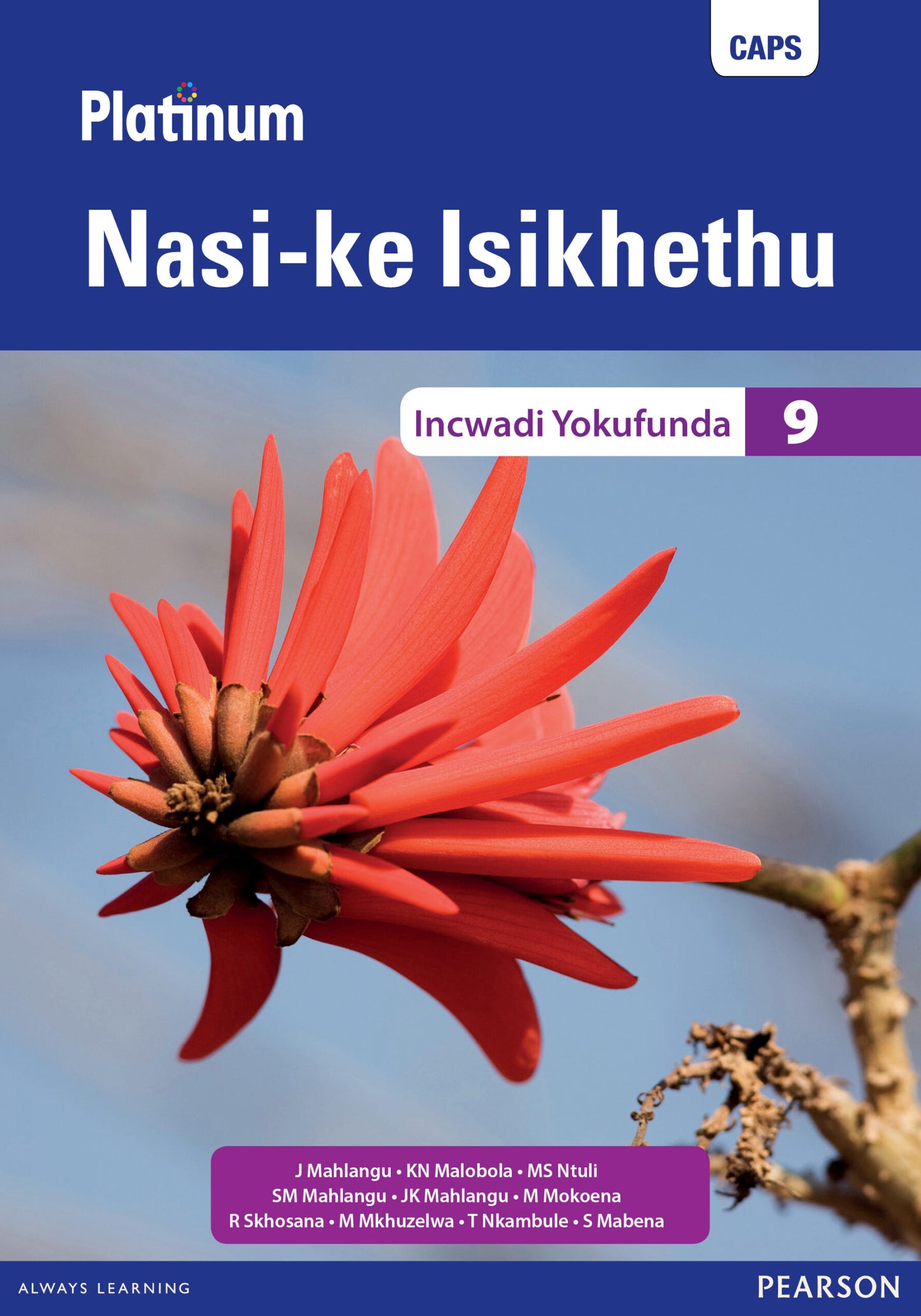 Platinum Nasi-ke Isikhethu (IsiNdebele) Grade 9 Reader ISBN/SKU: 9780636143852