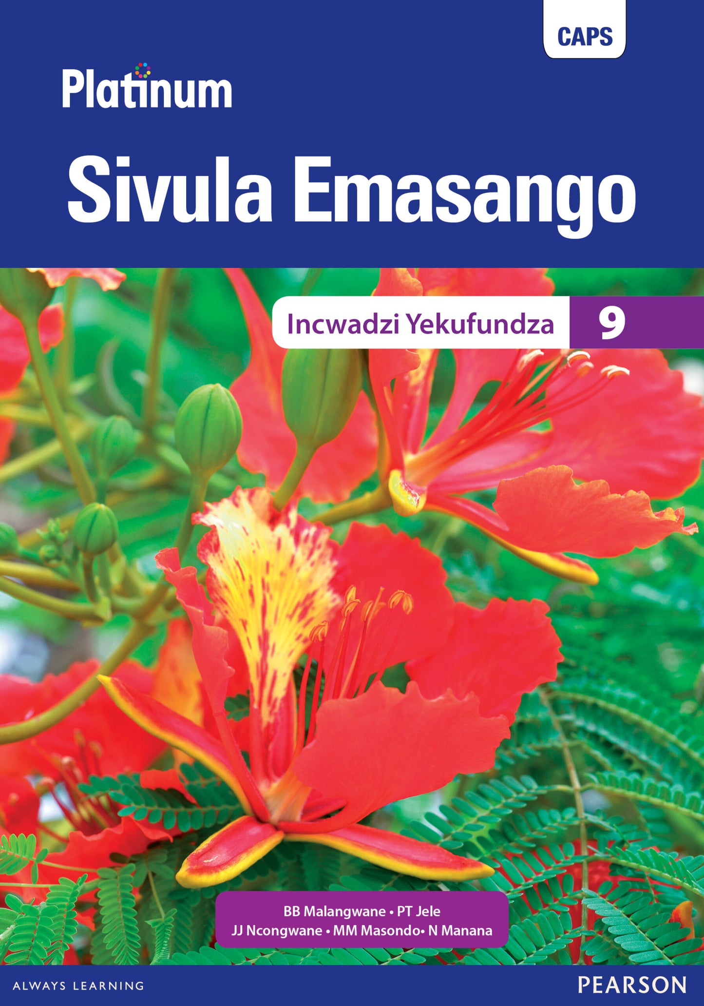 Platinum Sivula Emasango (Siswati) Grade 9 Reader ISBN/SKU: 9780636143982