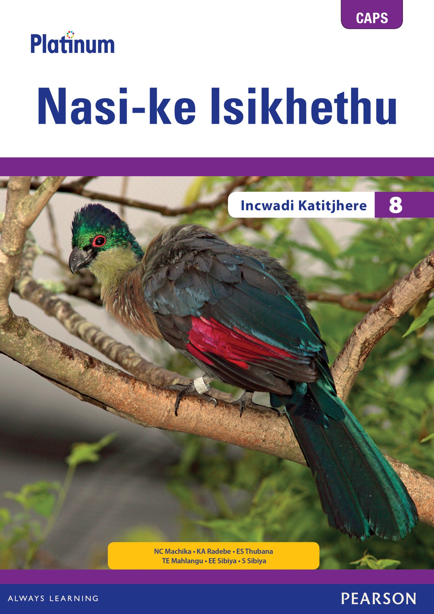 Platinum Nasi-ke Isikhethu (IsiNdebele) Grade 8 TG (includes photocopiable WB) ISBN/SKU: 9780636144484