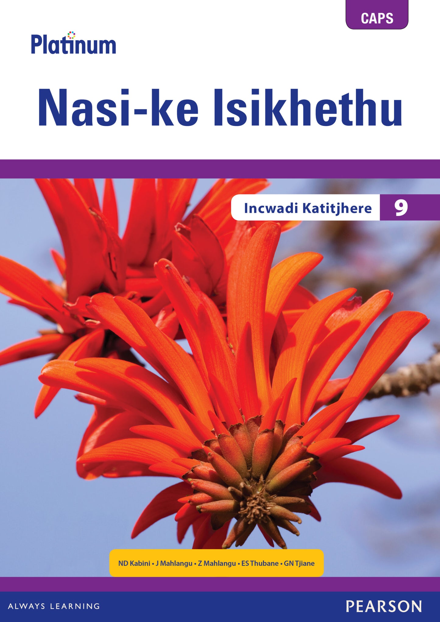 Platinum Nasi-ke Isikhethu (IsiNdebele) Grade 9 TG (includes photocopiable WB) ISBN/SKU: 9780636144491