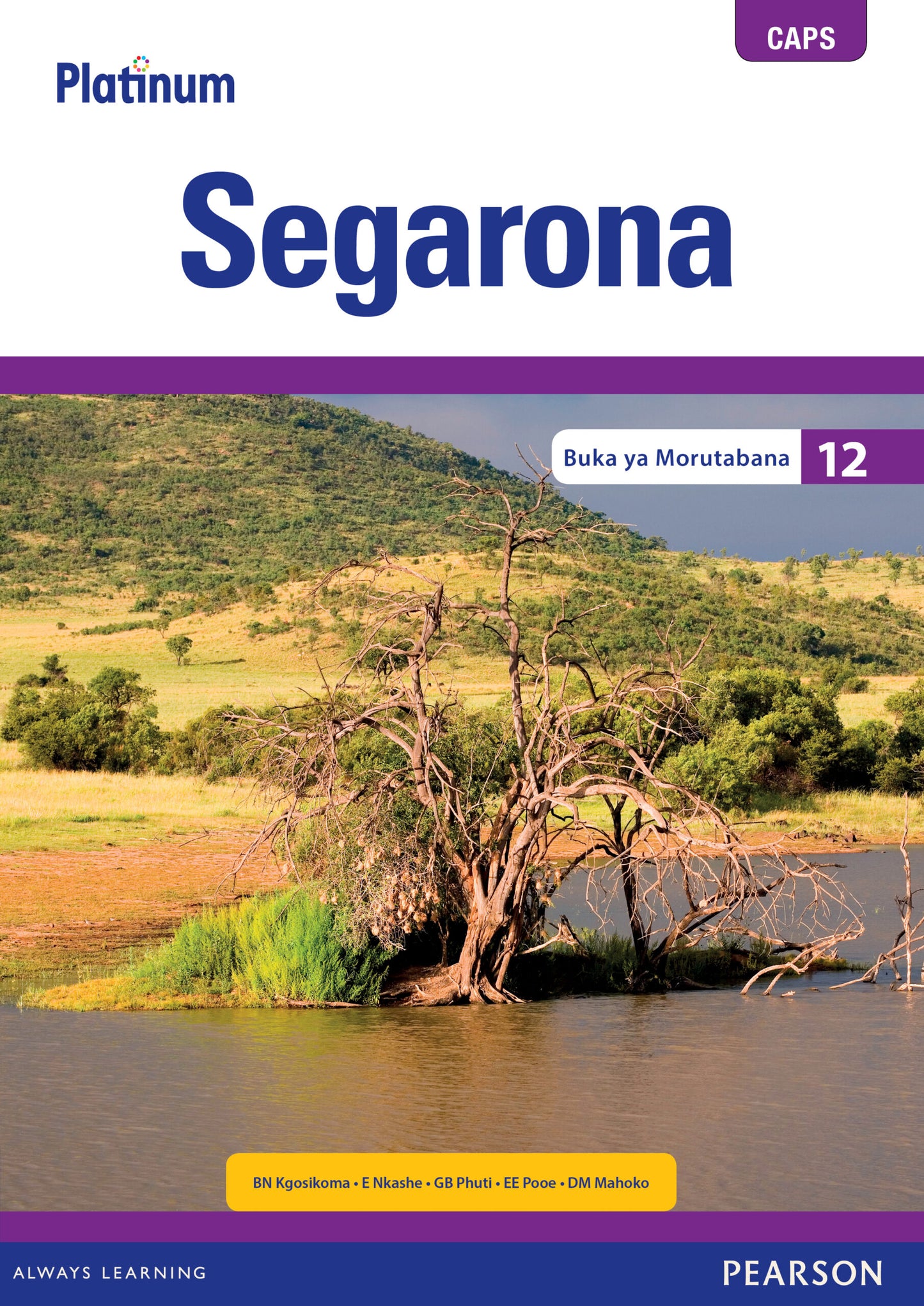 Platinum Segarona Gr 12 TG with Control Test Book ISBN/SKU: 9780636144590