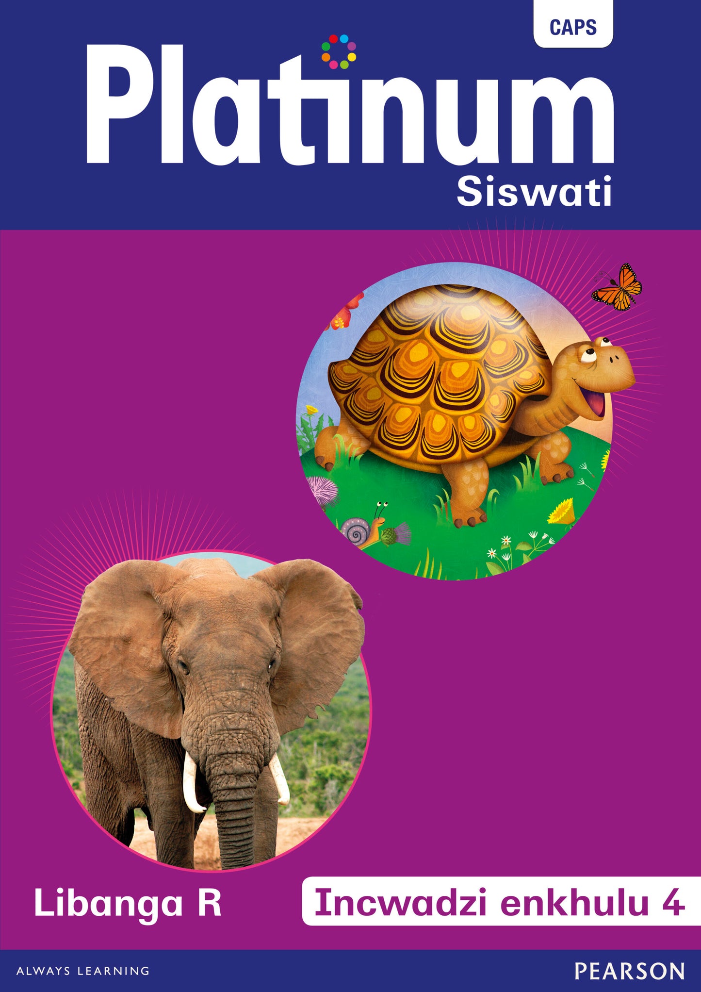 Platinum Libanga R Incwadzi enkhulu 4 ISBN/SKU: 9780636183698