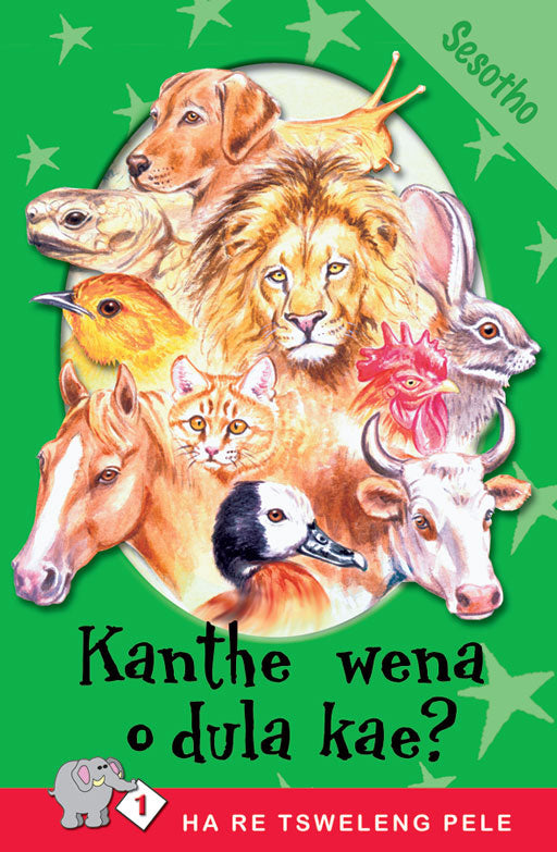 Ha Re Tsweleng Pele Series: Level 1 Book 2: Kanthe Wena O .
