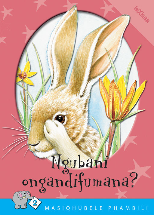 Masiqhubele Phambili Series Level 2 Book 3 Ngubani ...