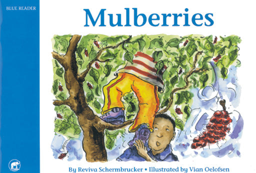 Jumbo Series  Blue Reader Book 3  Mulberries