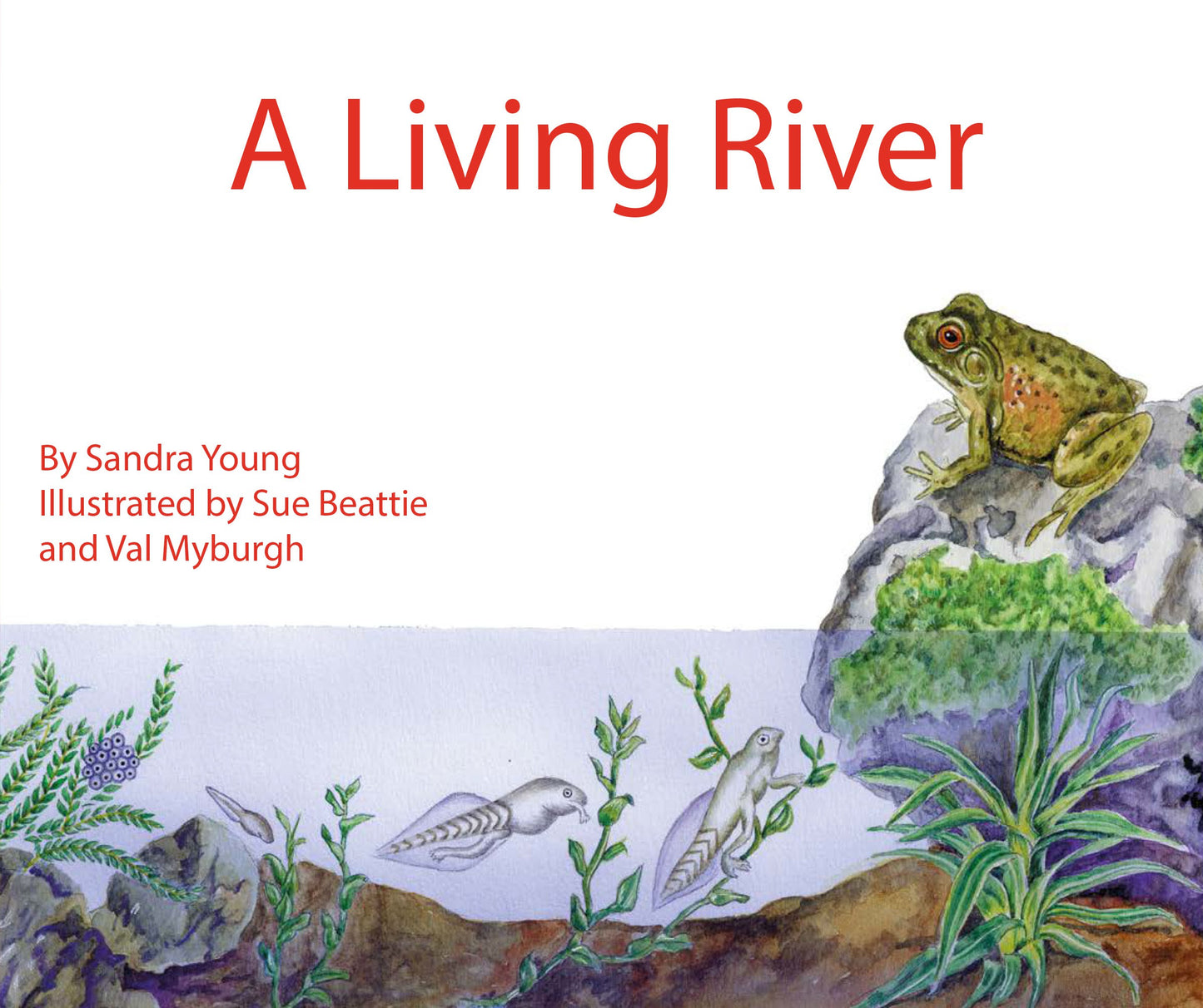 Jumbo Information Reader: Red - A Living River