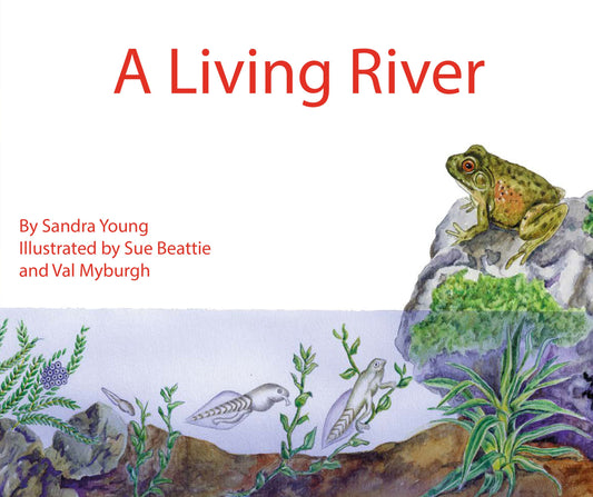 Jumbo Information Reader: Red - A Living River