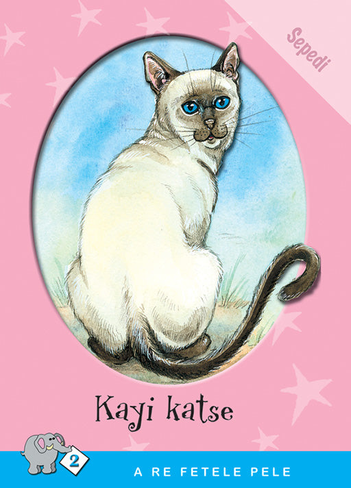 A Re Fetele Pele Series: Level 2 Book 4: Kayi Katse