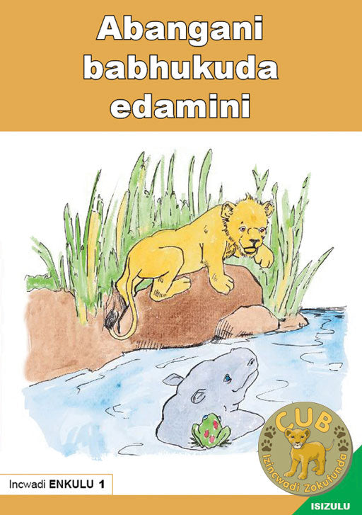 Big Book (Zulu) 1: Abangani Babhukuda Edamini