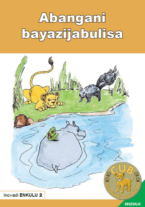 Big Book (Zulu) 2: Abangani Bayazijabulisa