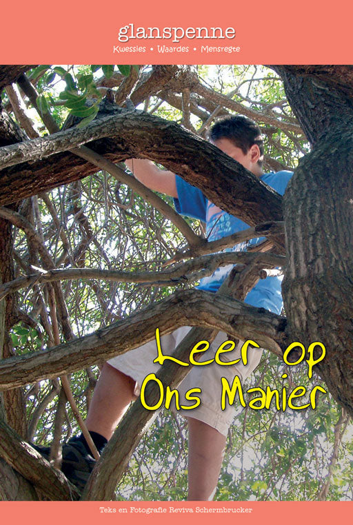 Highlighters (Afrik) Glanspenne: Leer Op Ons Manier