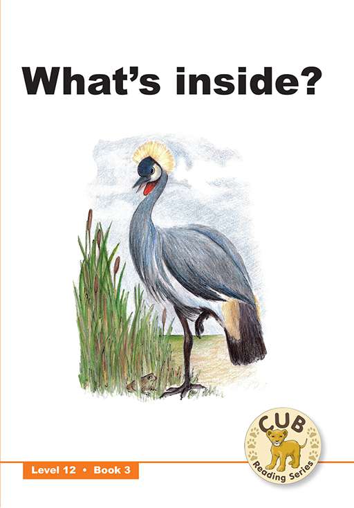Cub Reading Scheme (English) Level 12 Bk 3: What'S Inside