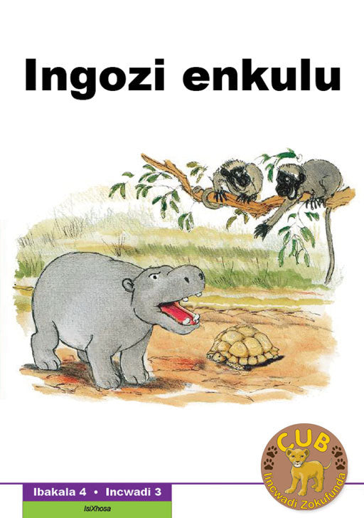 Cub Reading Scheme (Xhosa) Level 4 Bk 3: Ingozi Enkulu