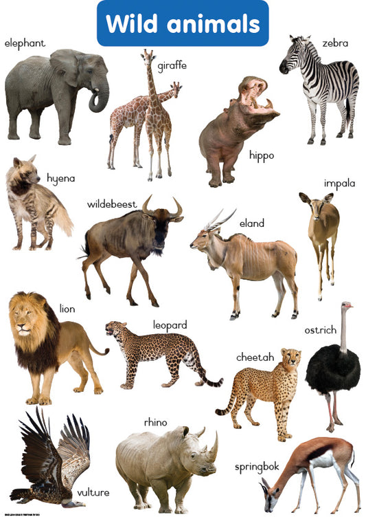 Chart: Shuters Hand In Hand Gr R: Wild Animals A2