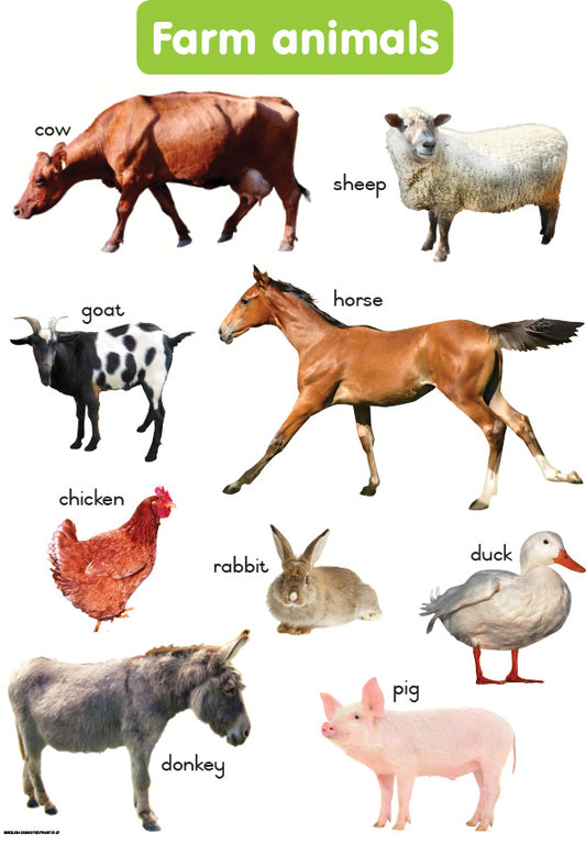Chart: Shuters Hand In Hand Gr R: Farm Animals A2