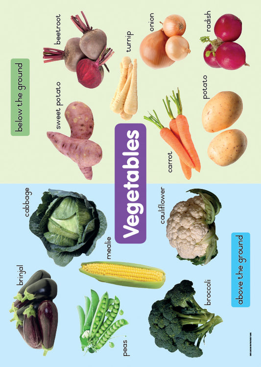 Chart: Shuters Hand In Hand Gr R: Vegetables A2