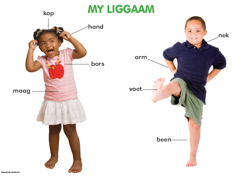 Chart: Shuters Hand In Hand Gr R Afrik: My Liggaam A2