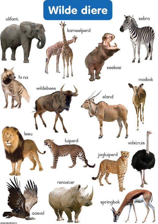 Chart: Shuters Hand In Hand Gr R Afrik: Wilde Diere A2