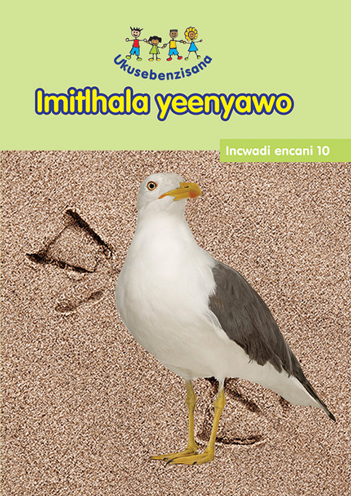 Hand In Hand Grade R (Ndebele) Reader 10