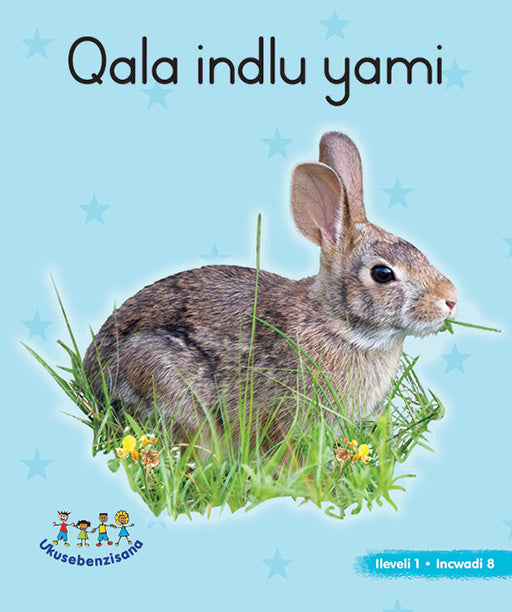 Hand In Hand Grade R (Ndebele) Picture Bk Level 1 Bk 8