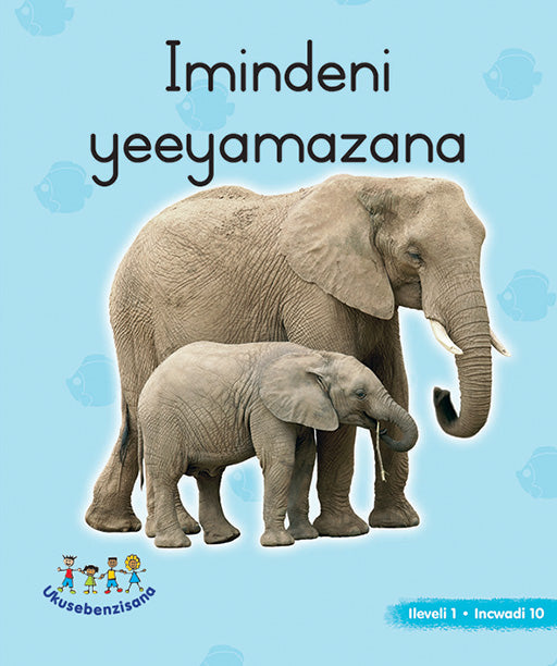 Hand In Hand Grade R (Ndebele) Picture Bk Level 1 Bk 10