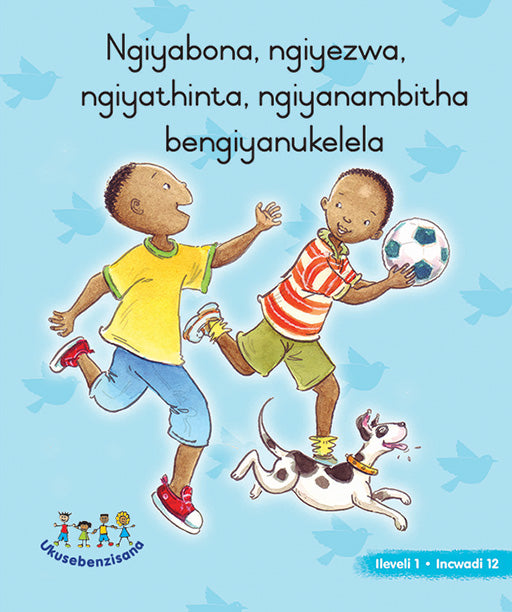 Hand In Hand Grade R (Ndebele) Picture Bk Level 1 Bk 12