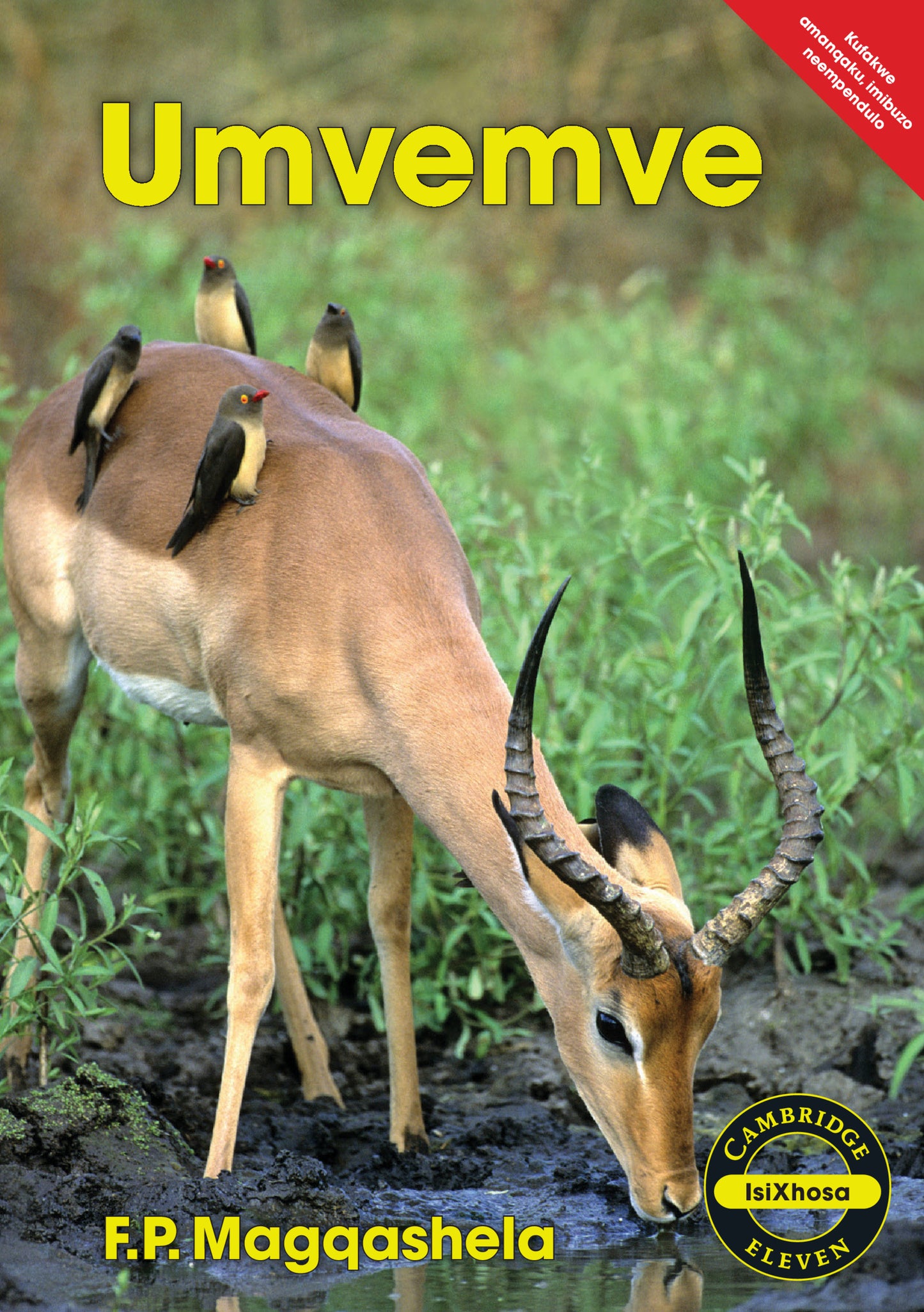 Umvemve (IsiXhosa) ISBN/SKU:9781107524590