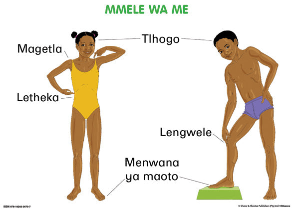 Chart: Junior Setswana Our Bodies A2