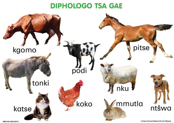 Chart: Junior Setswana Animals - Domestic A2